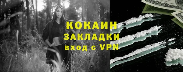 твердый Михайловск