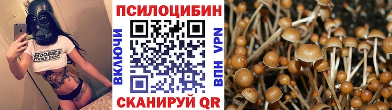 купить наркотик  Ува  Галлюциногенные грибы мухоморы 